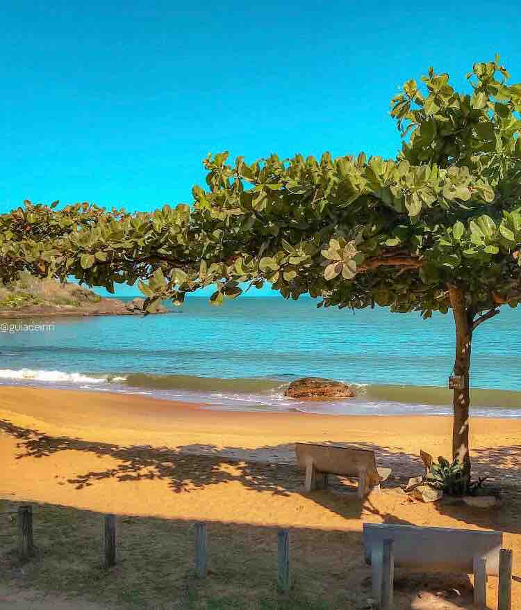 A serene beach scene is depicted, featuring golden sand and gentle waves lapping at the shore. A large tree provides shade, with its lush green foliage creating a peaceful spot for relaxation. A stone bench invites visitors to enjoy the tranquil coastal view.