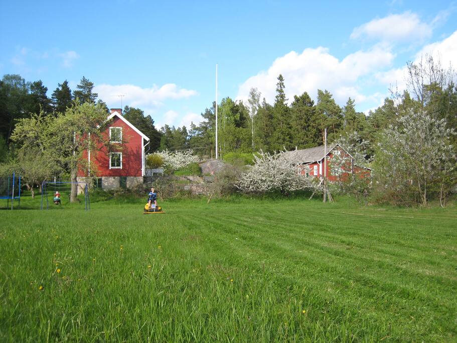 Garden
