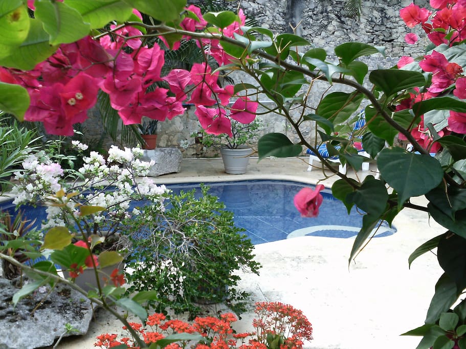 Splash Pool