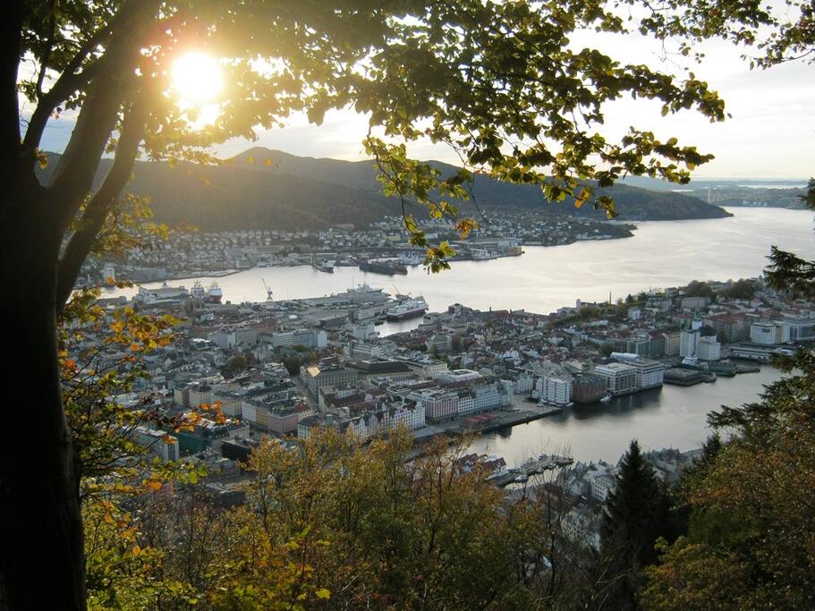 Right above our apartment you can find a lovely little promenade perfect for an evening walk or you can go all the way and hike up the famous Mount Fløien