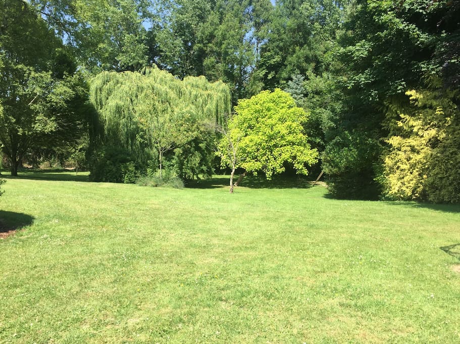 The lawn