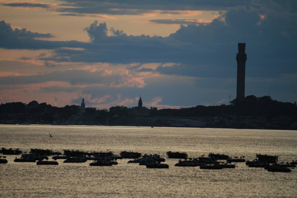 Provincetown harbor