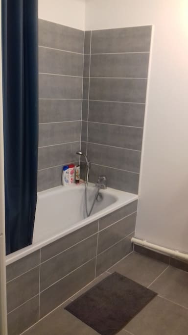 SDB avec toilettes séparés