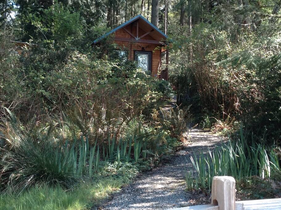 Path to cabin