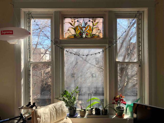 Cozy private room on Chicago's west side