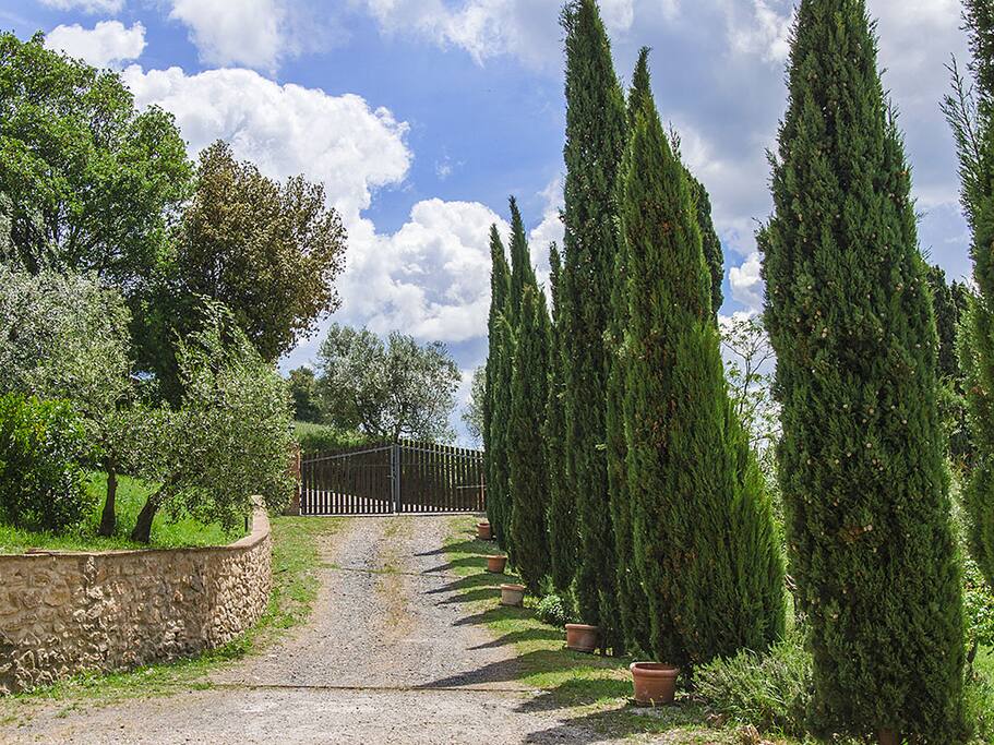 L'ingresso