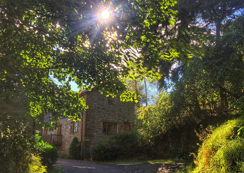 Barn End Cottage