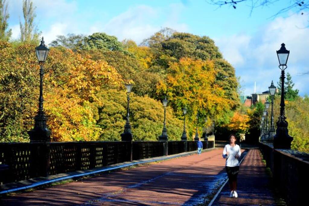 Location , Jesmond Dene