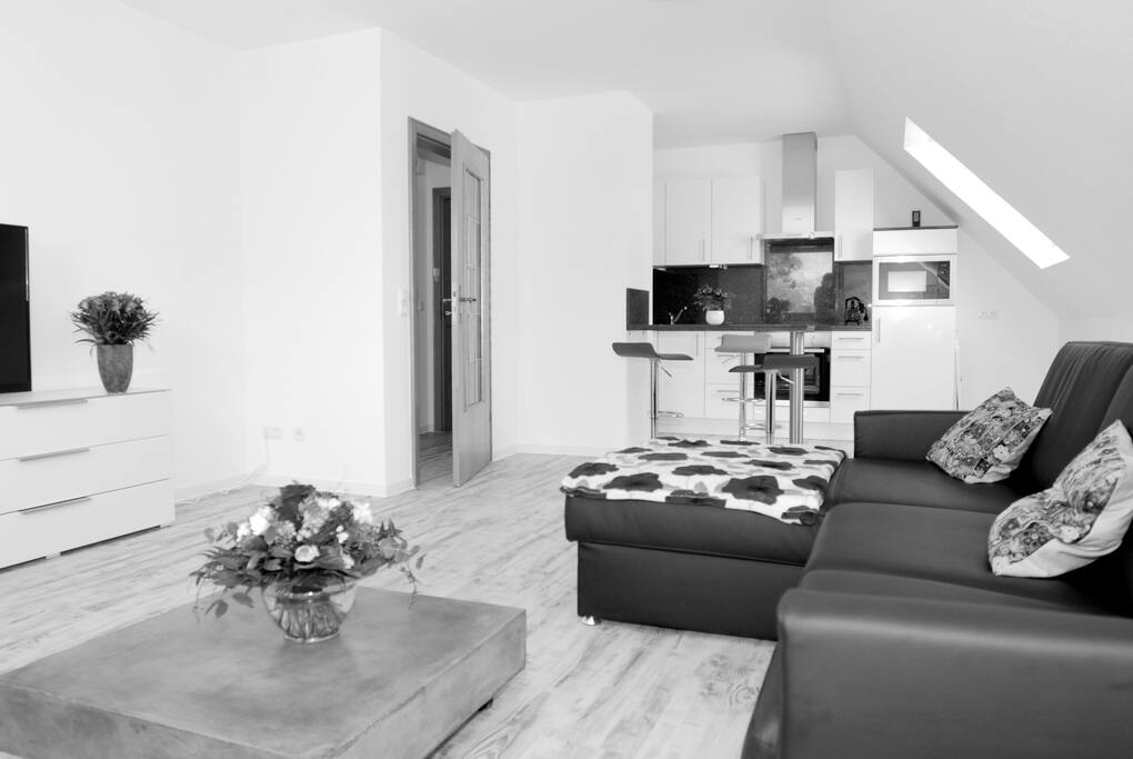Wohnzimmer & Küche im Überblick.
