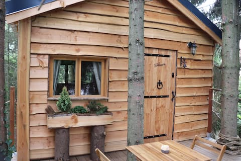La cabane dans les arbres