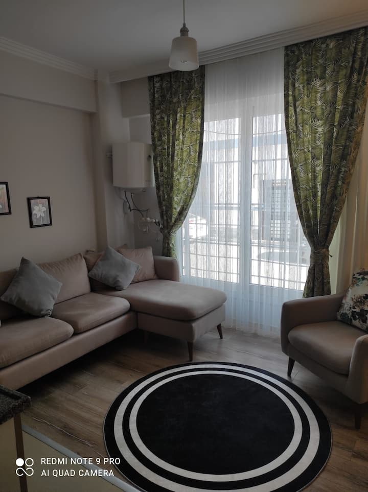 100Mbps WiFi in the center of the university, cafes, bars Flats for