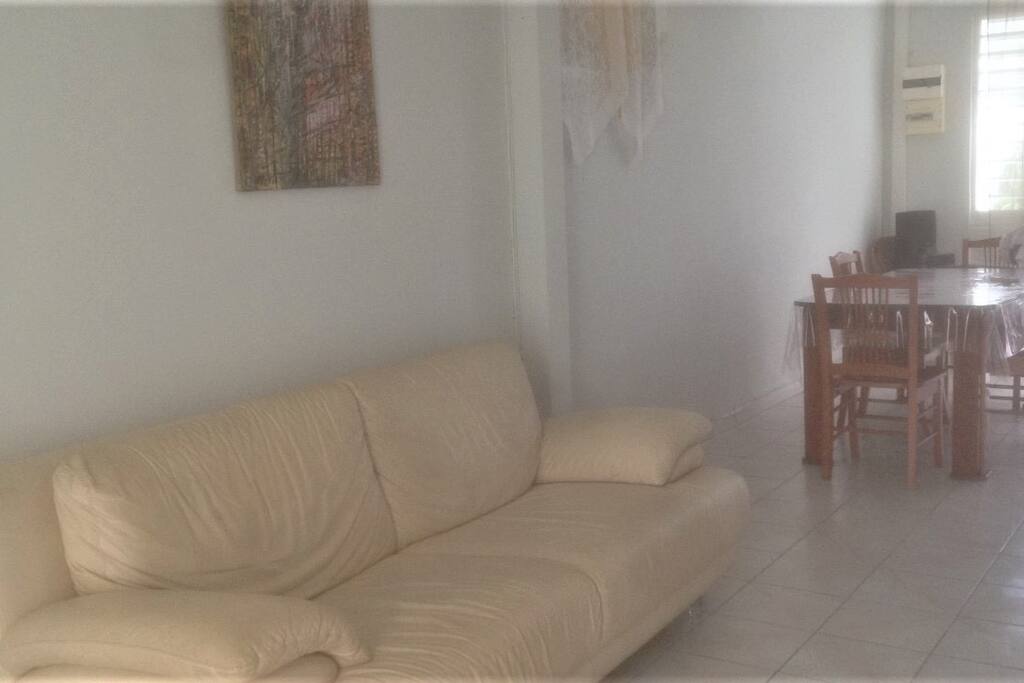 Salon/salle à manger