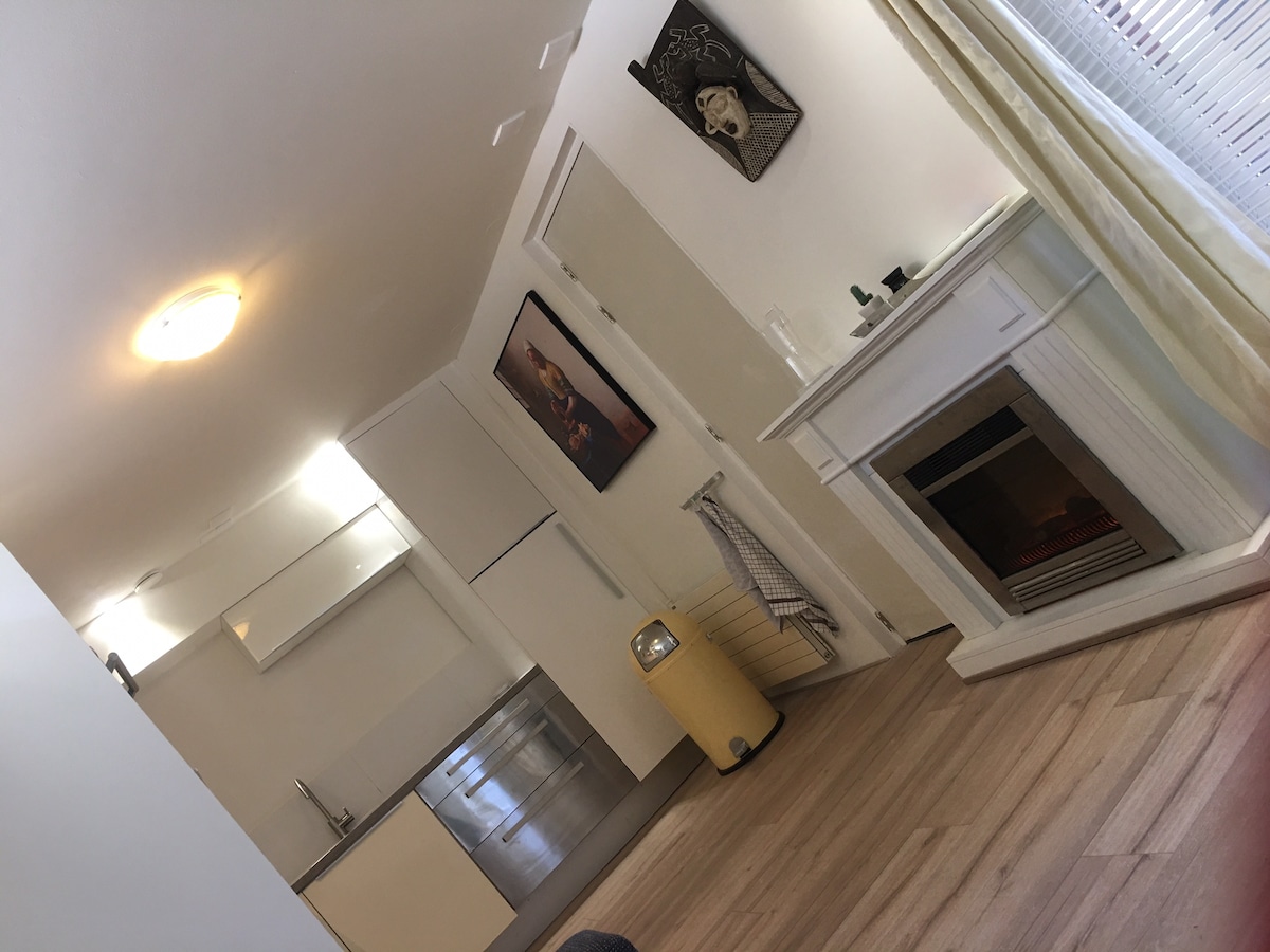 A bright studio space features a modern kitchen with stainless steel appliances and a cozy fireplace. Light wood floors run throughout the room, while large windows allow natural light to fill the area. Decorative elements enhance the welcoming feel.