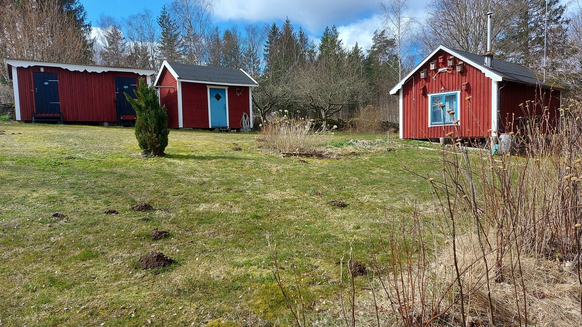Two red wooden cabins are situated amid a grassy area dotted with small shrubs, surrounded by trees. One cabin features a large blue window and a small decorative emblem, while the other has white accents. A gentle landscape leads into the distance.