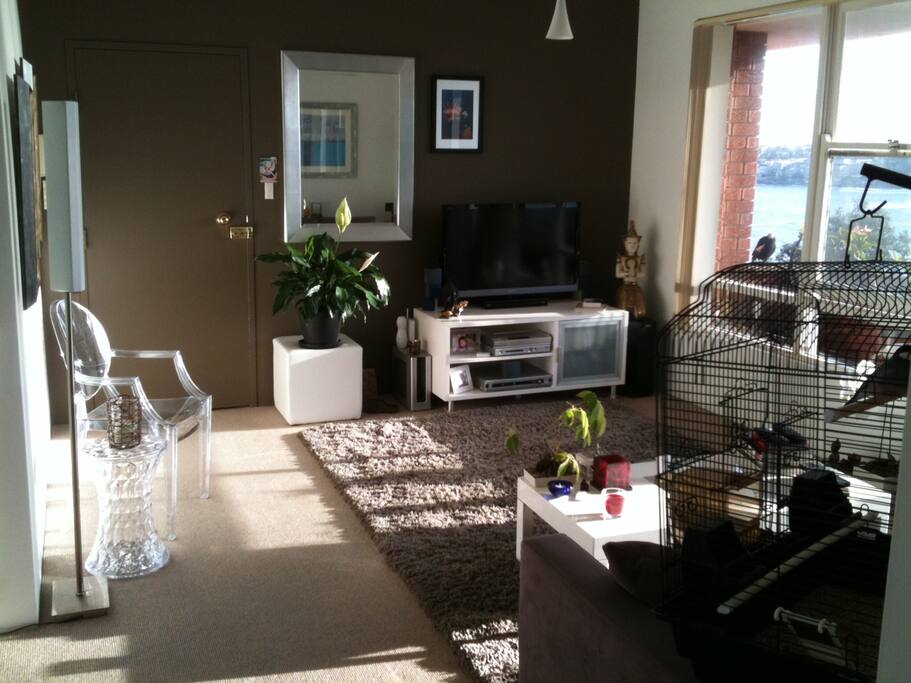 Bright living room area.