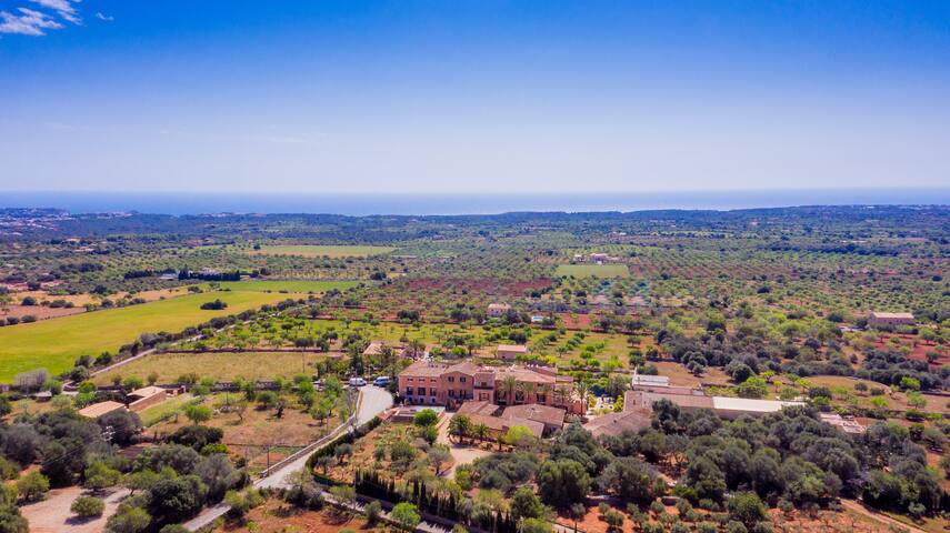 Luxurious mansion XIV C. (private hotel) to 20room gallery image 5