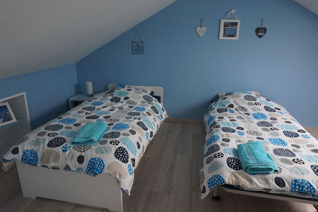 la chambre bleue équipée de 2 lits simples
