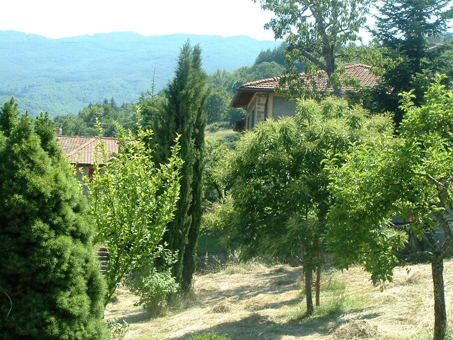 giardino