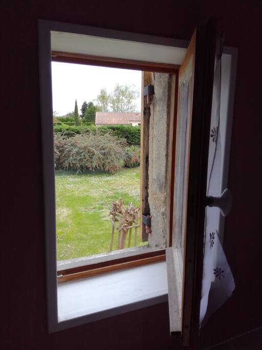 Le jardin depuis la chambre