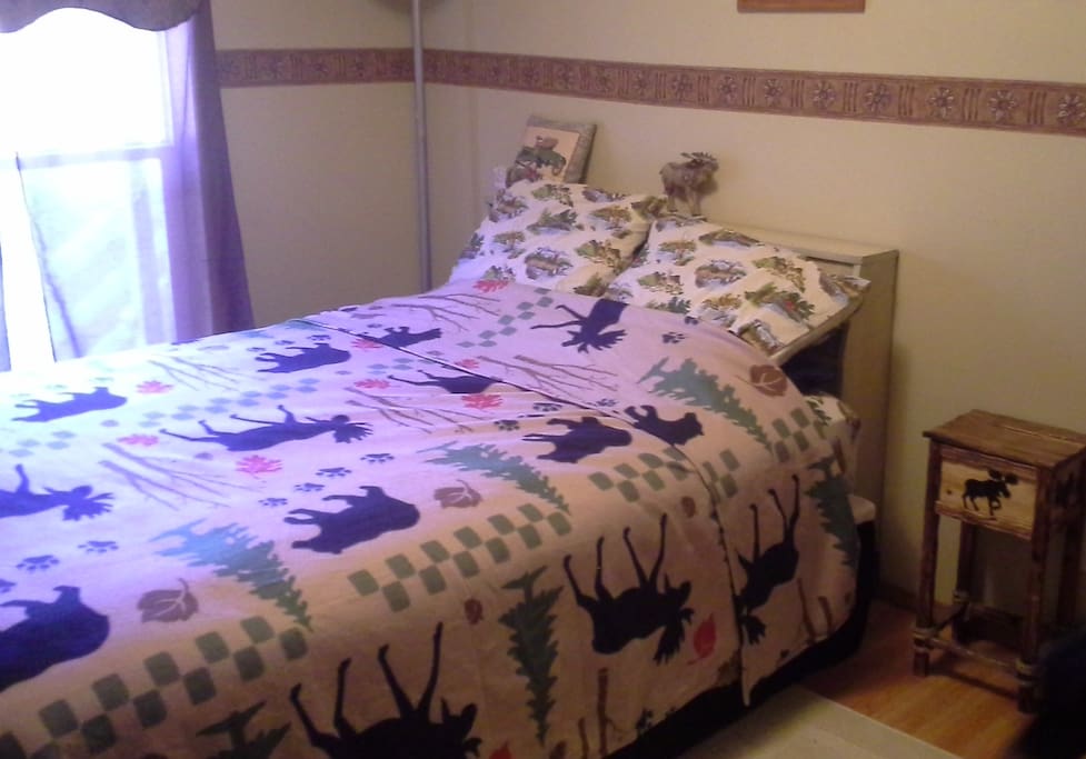 Adirondack decor