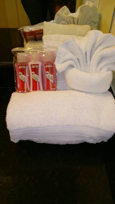 towels, shampoo,body cream ,body lotion , toilet paper..