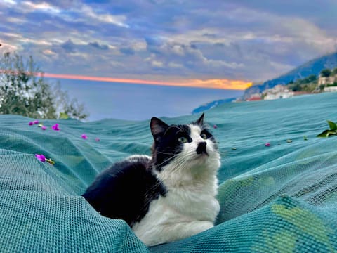 Top Airbnb: The parfect romantic spot on the Amalfi Coast! a Amalfi