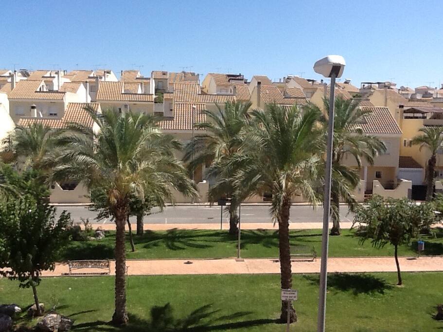Street view From Roof