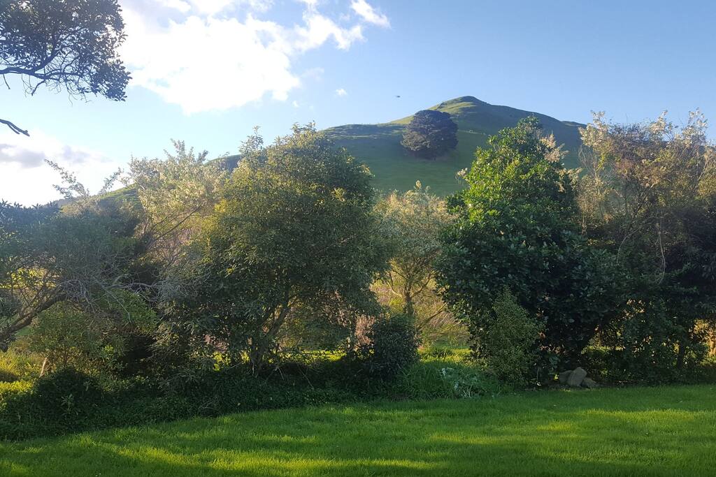 Outlook from the deck