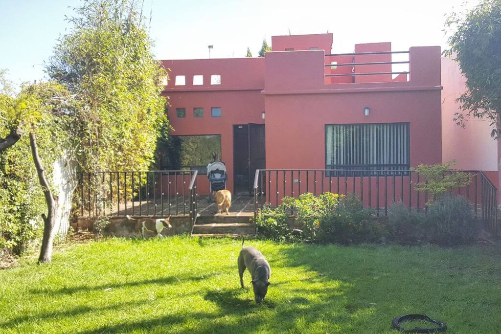 Back Garden / Jardín Trasero
