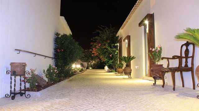 A well-lit pathway is seen between the white walls of the building, lined with potted plants and trees. Seating areas are provided with classic chairs and decorative elements, enhancing the tranquil ambiance. The pathway leads towards a softly illuminated courtyard, creating a welcoming environment.