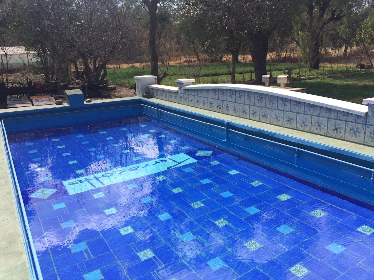 A vibrant blue pool is surrounded by a tiled border, reflecting light and inviting relaxation. Lush greenery and trees are visible in the background, enhancing the connection to nature. Comfortable seating areas are situated nearby, offering spaces for leisure and enjoyment.