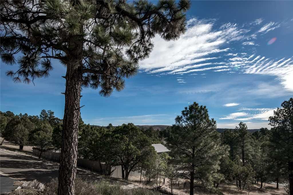 1103 Mechem Ruidoso, NM 88345 575-258-5200