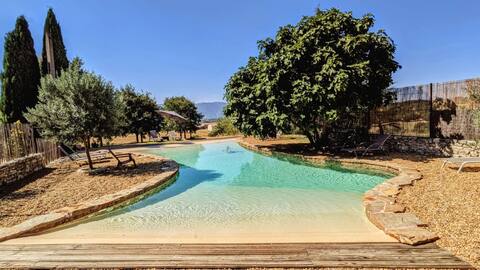 La Bastide de Fondeluygnes, Pool, Luberon