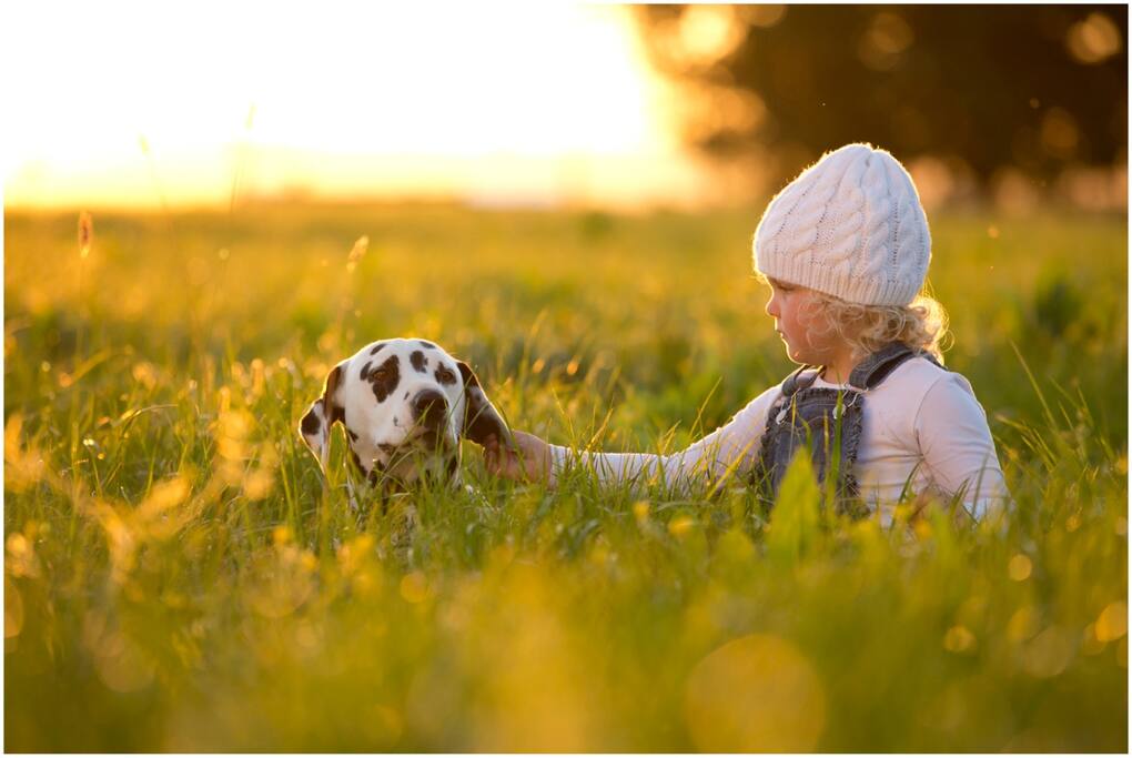 spring time with bella