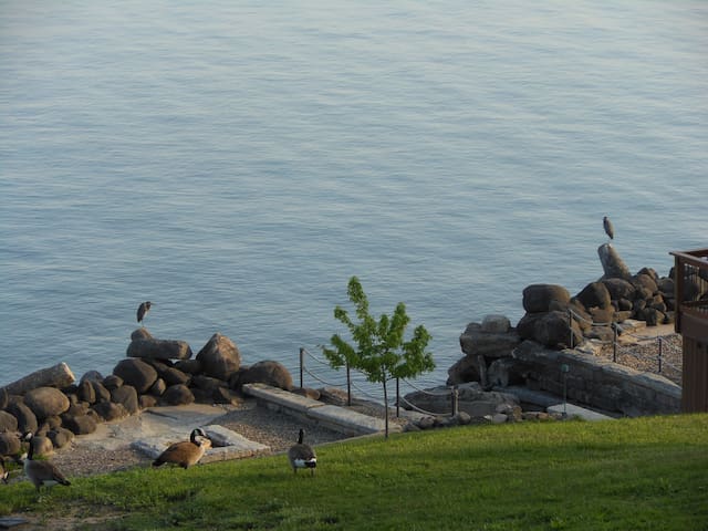 Lake House