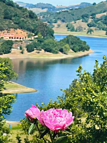 30-Acre Villa Eden of Paradise:Lake Views & Events gallery image 5