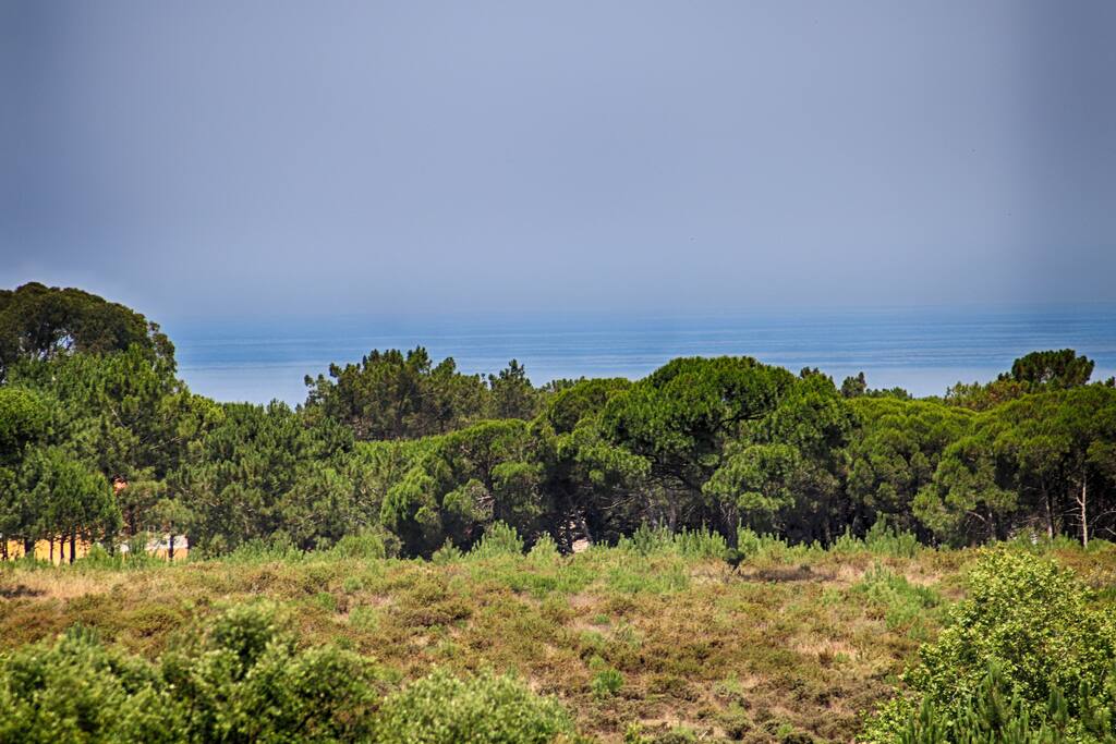 Vista da Varanda do Quarto