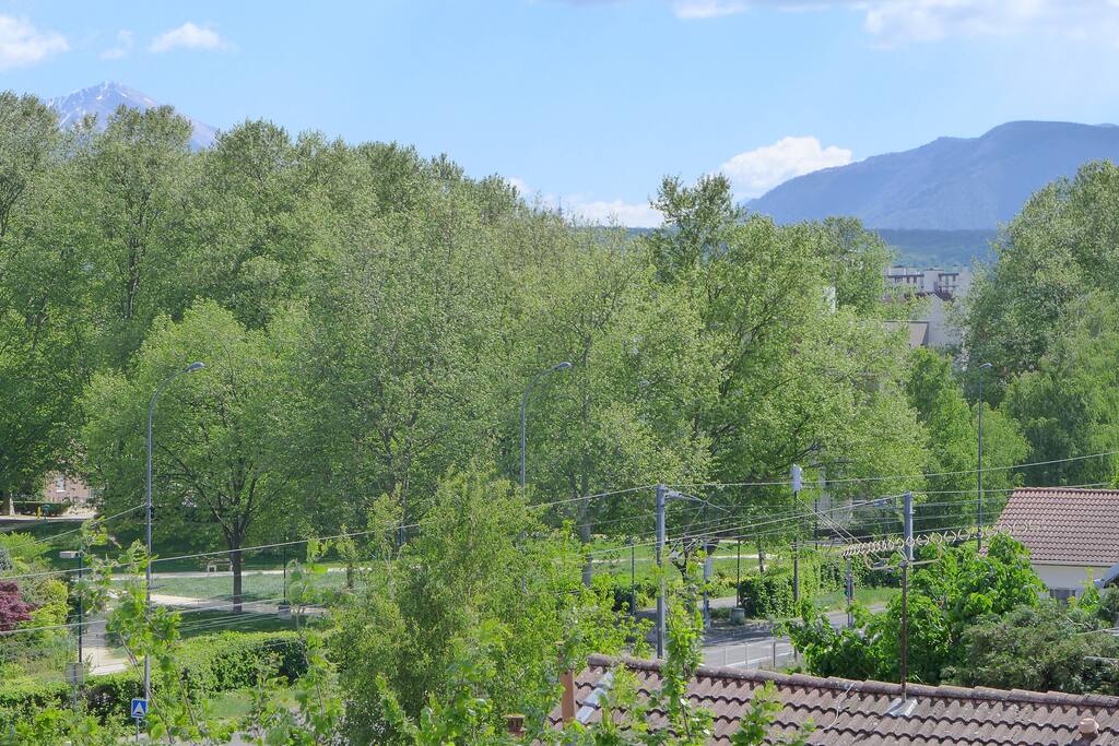 Vue sur le parc