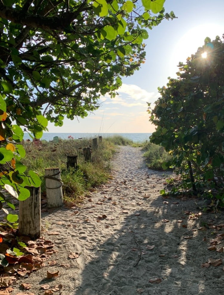 A sandy path leads through lush greenery towards the beach, framed by overhanging branches. The ocean is visible in the distance, with light reflecting off the water. Shadows create a peaceful atmosphere as the sun casts a warm glow.