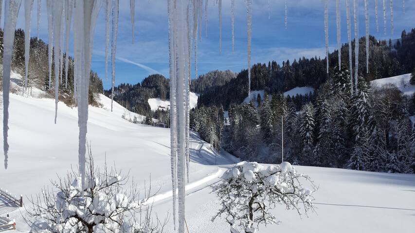 Neu renovierte gemütliche Wohnung im Emmental Trub