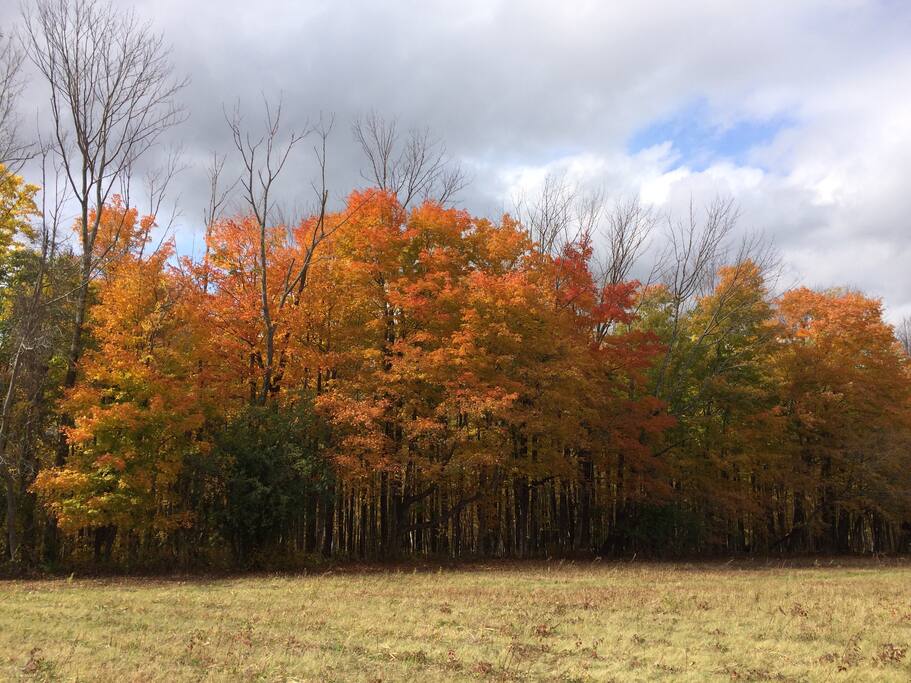 Back Roads of the Berkshires