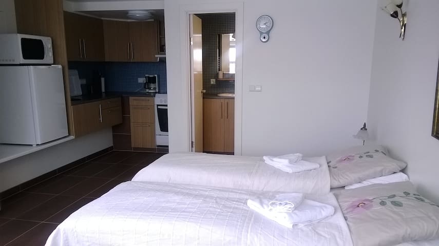 Sólheimar studio apartment B