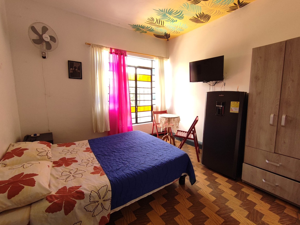 Მარტივი ოთახი მყუდრო გარემოთი 