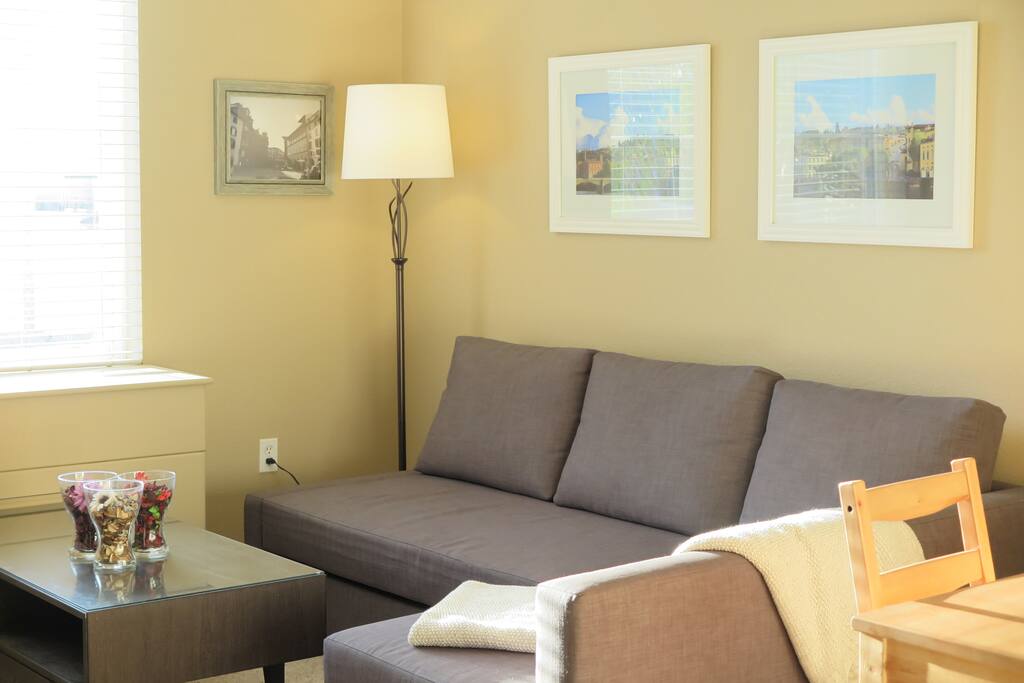 Cozy and bright living area