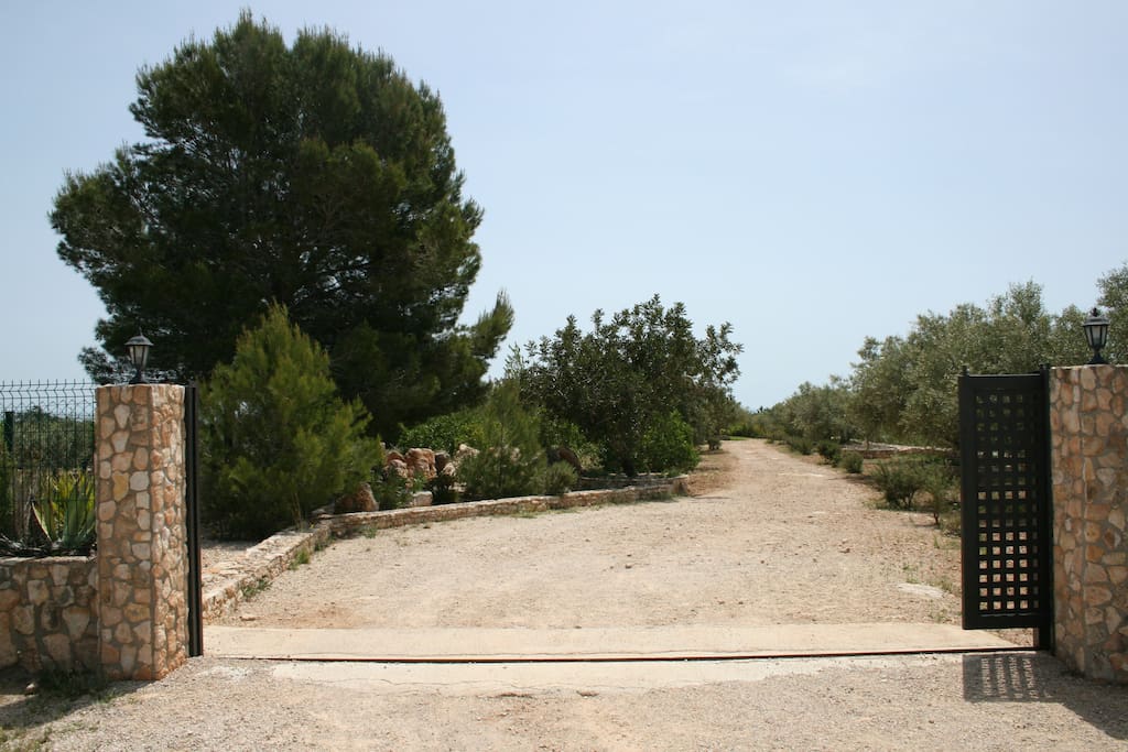 Entrada