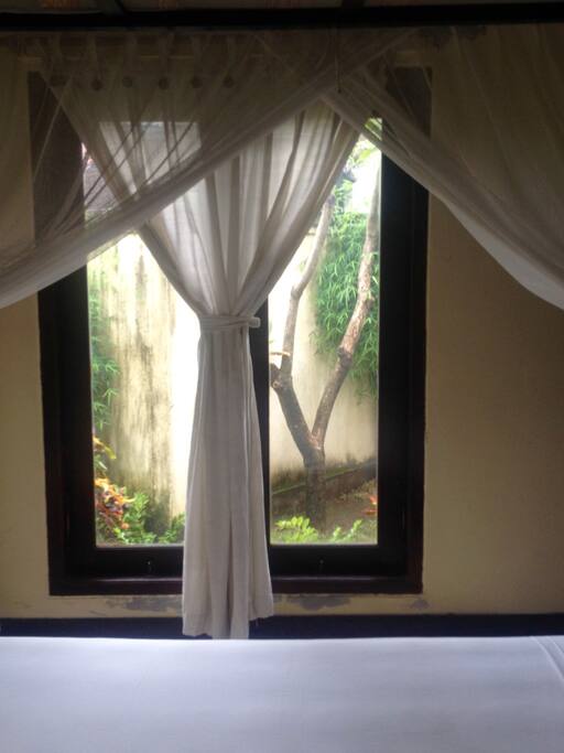 Side Window
