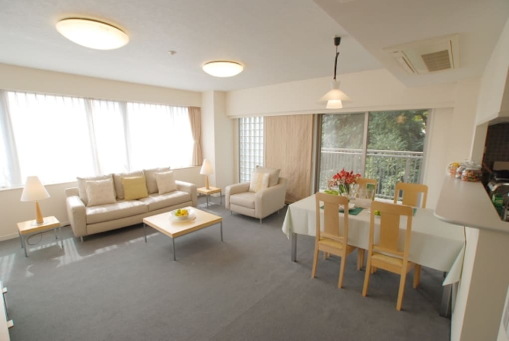 Spacious Living Room