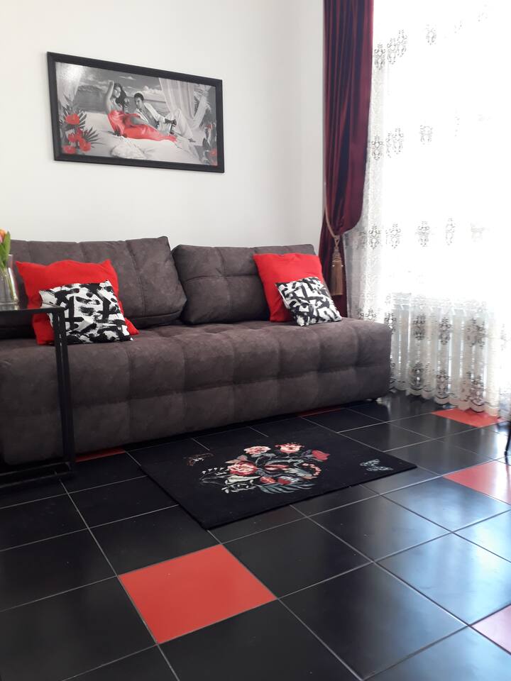 客厅。舒适的矫形沙发。折叠式，可供2名成人和1名儿童入住。 