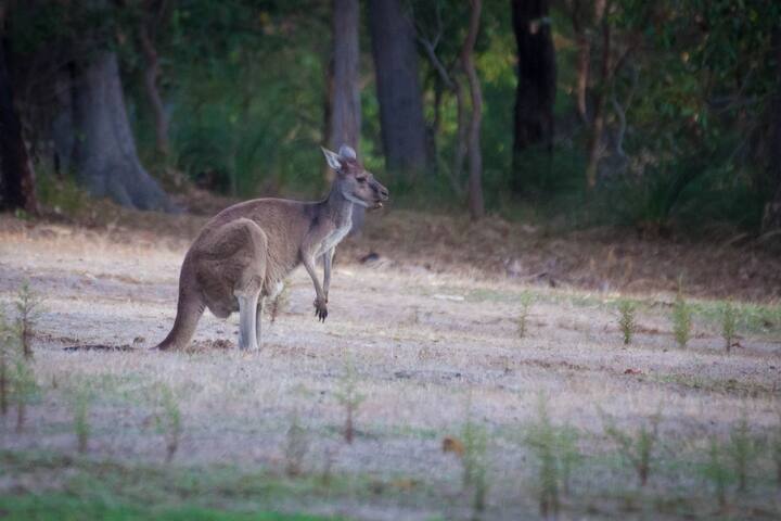 High Ridge I Private Properties gallery image 4