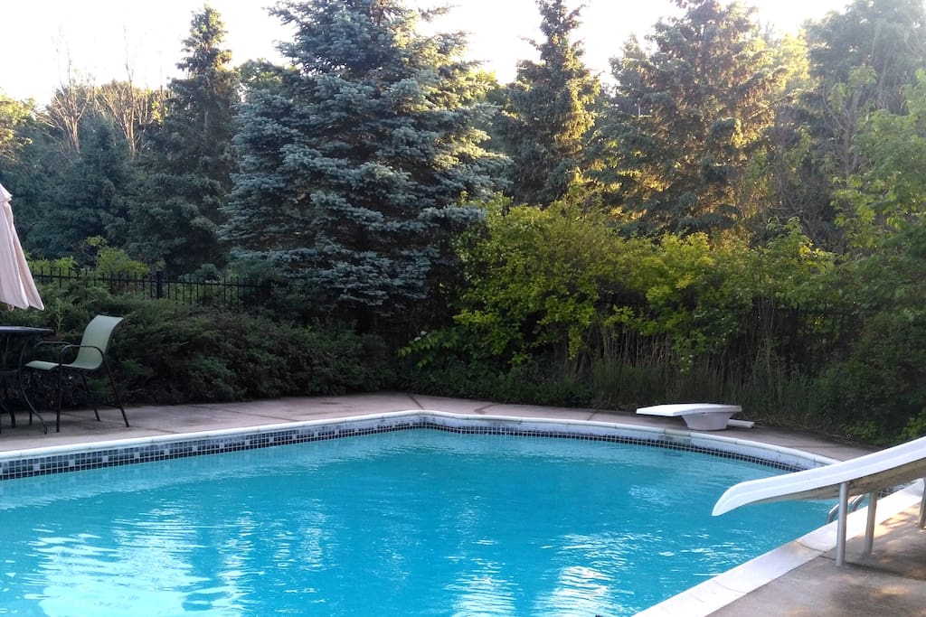 fenced in private pool surrounded by gardens